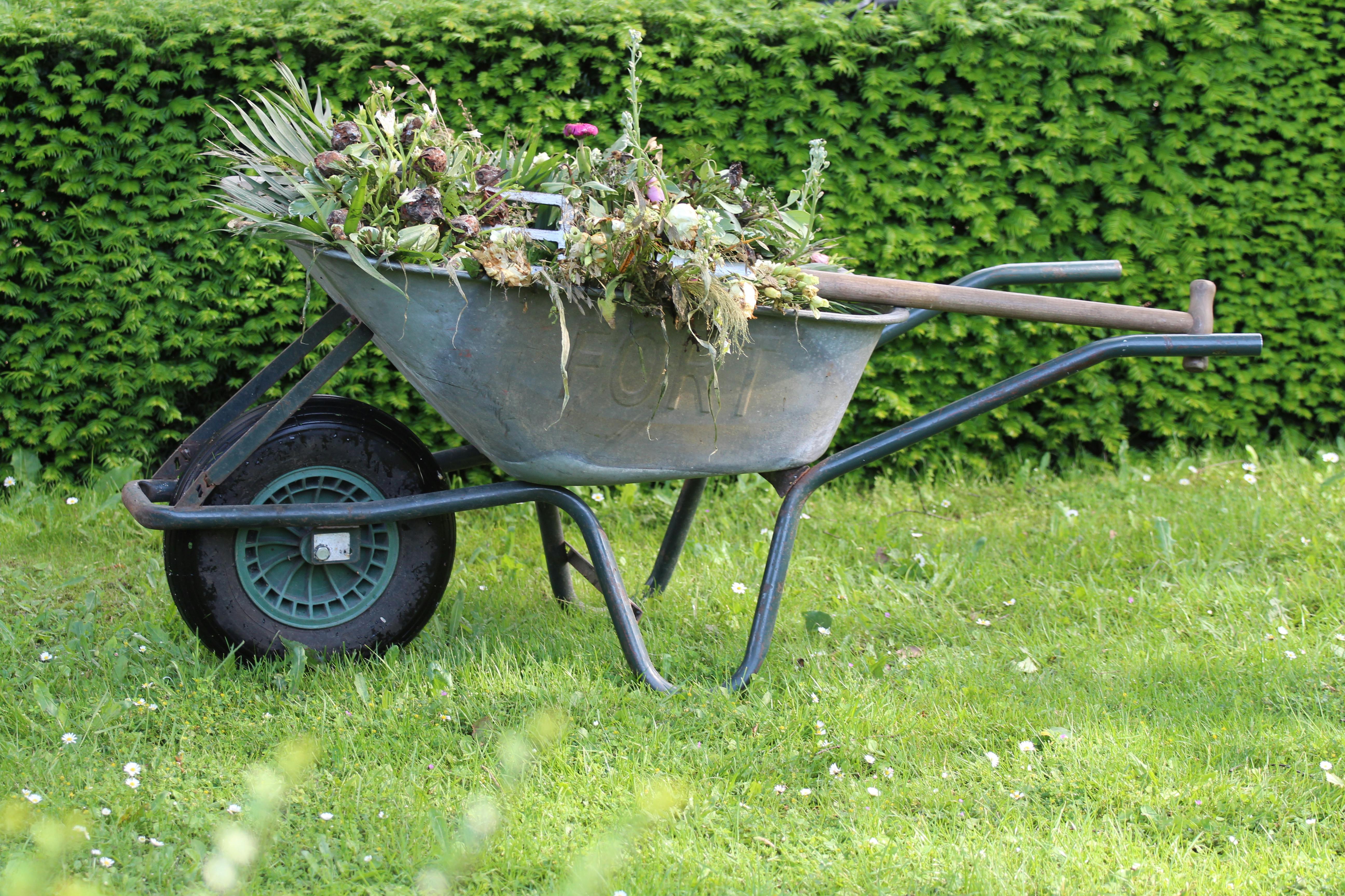 Entretien jardin